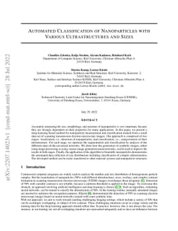 Automated Classification of Nanoparticles with Various Ultrastructures
  and Sizes