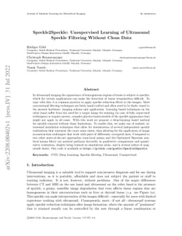 Speckle2Speckle: Unsupervised Learning of Ultrasound Speckle Filtering
  Without Clean Data