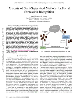 Analysis of Semi-Supervised Methods for Facial Expression Recognition