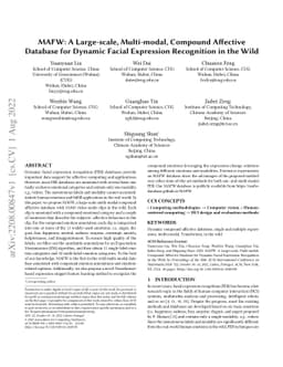 MAFW: A Large-scale, Multi-modal, Compound Affective Database for
  Dynamic Facial Expression Recognition in the Wild