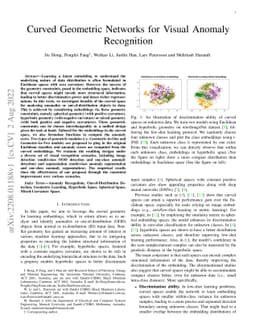 Curved Geometric Networks for Visual Anomaly Recognition