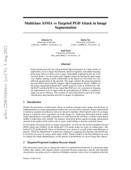 Multiclass ASMA vs Targeted PGD Attack in Image Segmentation
