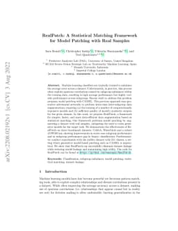 RealPatch: A Statistical Matching Framework for Model Patching with Real
  Samples
