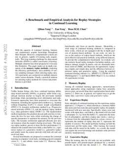 A Benchmark and Empirical Analysis for Replay Strategies in Continual
  Learning