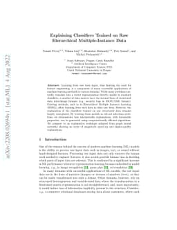 Explaining Classifiers Trained on Raw Hierarchical Multiple-Instance
  Data