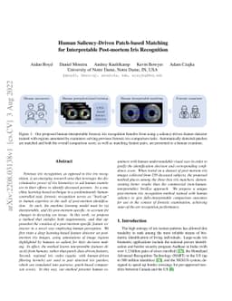 Human Saliency-Driven Patch-based Matching for Interpretable Post-mortem
  Iris Recognition