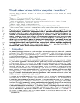 Why do networks have inhibitory/negative connections?