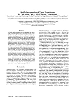 Shuffle Instances-based Vision Transformer for Pancreatic Cancer ROSE
  Image Classification