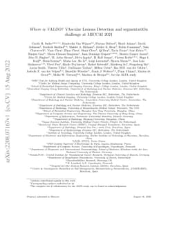 Where is VALDO? VAscular Lesions Detection and segmentatiOn challenge at
  MICCAI 2021