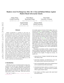 Shadows Aren't So Dangerous After All: A Fast and Robust Defense Against
  Shadow-Based Adversarial Attacks