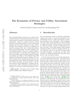 The Economics of Privacy and Utility: Investment Strategies