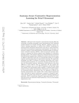 Anatomy-Aware Contrastive Representation Learning for Fetal Ultrasound
