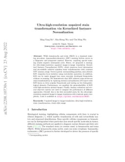 Ultra-high-resolution unpaired stain transformation via Kernelized
  Instance Normalization