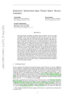 Efficient Attention-free Video Shift Transformers