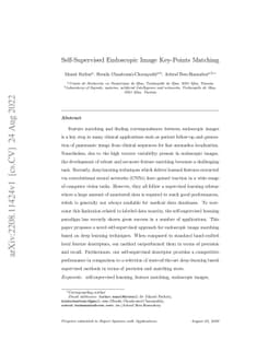 Self-Supervised Endoscopic Image Key-Points Matching