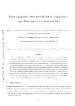 Deep neural networks for fast acquisition of aortic 3D pressure and
  velocity flow fields