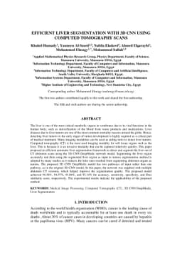 Efficient liver segmentation with 3D CNN using computed tomography scans