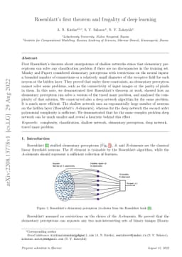 Rosenblatt's first theorem and frugality of deep learning