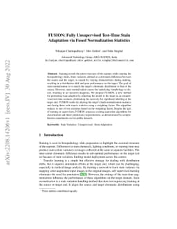 FUSION: Fully Unsupervised Test-Time Stain Adaptation via Fused
  Normalization Statistics