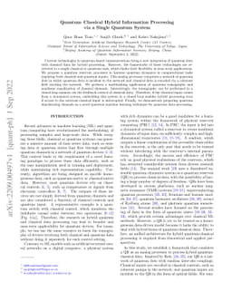 Quantum-Classical Hybrid Information Processing via a Single Quantum
  System