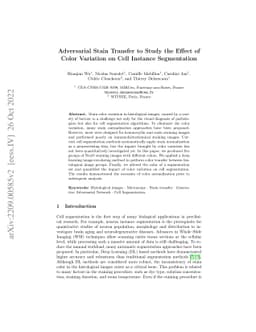 Adversarial Stain Transfer to Study the Effect of Color Variation on
  Cell Instance Segmentation