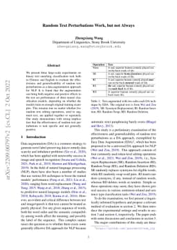 Random Text Perturbations Work, but not Always