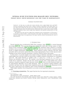 Optimal bump functions for shallow ReLU networks: Weight decay, depth
  separation and the curse of dimensionality