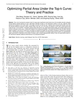 Optimizing Partial Area Under the Top-k Curve: Theory and Practice