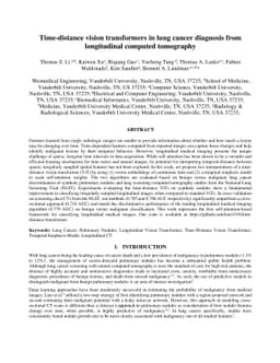 Time-distance vision transformers in lung cancer diagnosis from
  longitudinal computed tomography