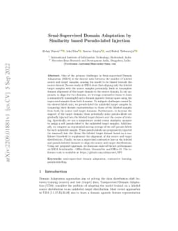 Semi-Supervised Domain Adaptation by Similarity based Pseudo-label
  Injection