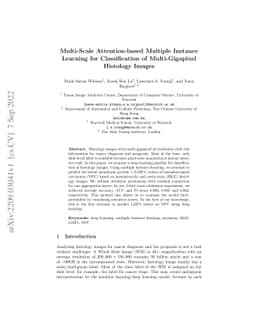 Multi-Scale Attention-based Multiple Instance Learning for
  Classification of Multi-Gigapixel Histology Images