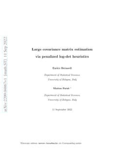 Large covariance matrix estimation via penalized log-det heuristics