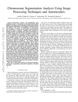Chromosome Segmentation Analysis Using Image Processing Techniques and
  Autoencoders
