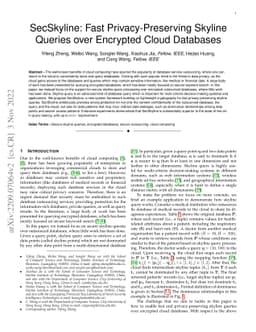 SecSkyline: Fast Privacy-Preserving Skyline Queries over Encrypted Cloud
  Databases