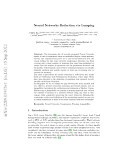 Neural Networks Reduction via Lumping