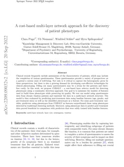 A cost-based multi-layer network approach for the discovery of patient
  phenotypes
