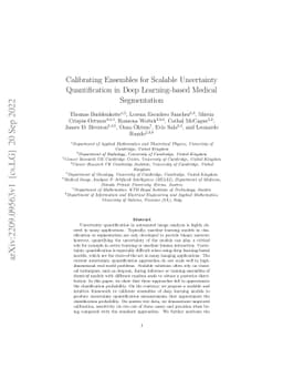 Calibrating Ensembles for Scalable Uncertainty Quantification in Deep
  Learning-based Medical Segmentation