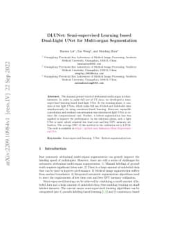 DLUNet: Semi-supervised Learning based Dual-Light UNet for Multi-organ
  Segmentation