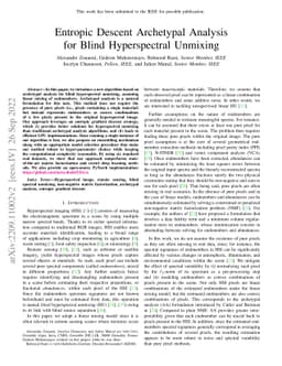 Entropic Descent Archetypal Analysis for Blind Hyperspectral Unmixing