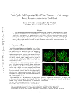 Dual-Cycle: Self-Supervised Dual-View Fluorescence Microscopy Image
  Reconstruction using CycleGAN