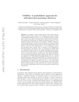 VAESim: A probabilistic approach for self-supervised prototype discovery