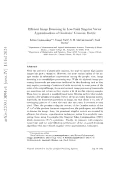 Efficient Image Denoising by Low-Rank Singular Vector Approximations of
  Geodesics' Gramian Matrix