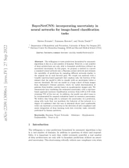 BayesNetCNN: incorporating uncertainty in neural networks for
  image-based classification tasks