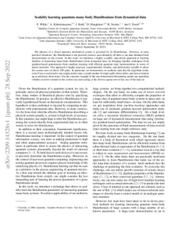 Scalably learning quantum many-body Hamiltonians from dynamical data