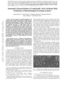 Automated Characterization of Catalytically Active Inclusion Body
  Production in Biotechnological Screening Systems