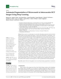 Automated segmentation of microvessels in intravascular OCT images using
  deep learning