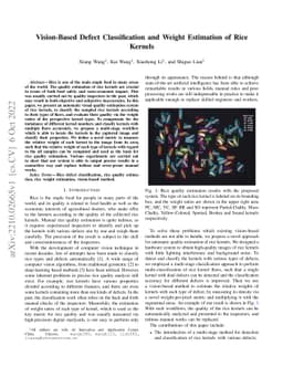 Vision-Based Defect Classification and Weight Estimation of Rice Kernels