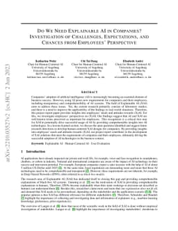 Do We Need Explainable AI in Companies? Investigation of Challenges,
  Expectations, and Chances from Employees' Perspective