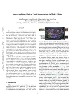 Improving Data-Efficient Fossil Segmentation via Model Editing