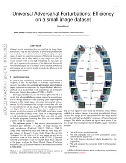 Universal Adversarial Perturbations: Efficiency on a small image dataset